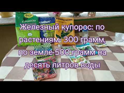Розы. Препараты для лечения  болезней роз. Скор, Редомил Голд, Топаз, Эфатол.