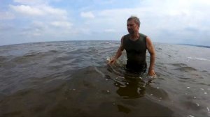 ОСТОРОЖНО,ЯДОВИТЫЕ ЗМЕИ. Нескучная жизнь.