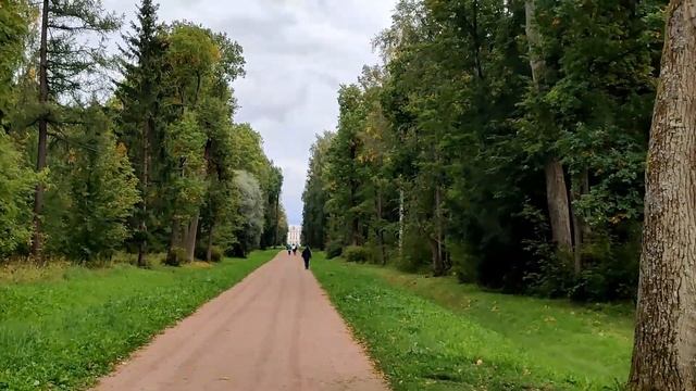 Александровский парк. Питер. Что было интересного