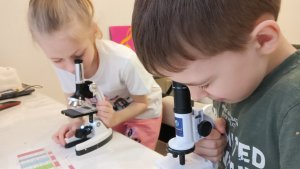 Невидимая вселенная: мир под микроскопом