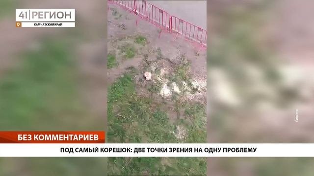 ПОД САМЫЙ КОРЕШОК: ДВЕ ТОЧКИ ЗРЕНИЯ НА ОДНУ ПРОБЛЕМУ •БЕЗ КОММЕНТАРИЕВ