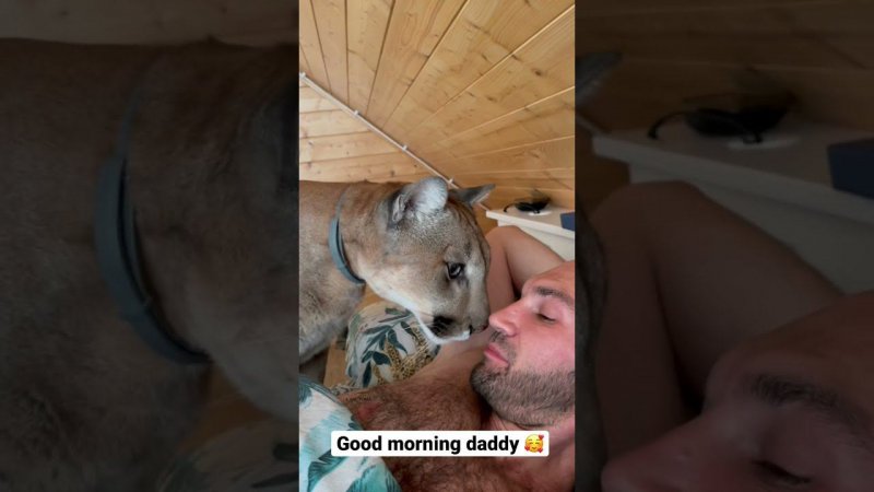 Доброе утро папочка/good morning daddy❤️