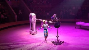 "ВЕСЕЛЫЕ ОБЕЗЬЯНКИ-АКОРБАТЫ И НАЕЗДНИКИ", ШОУ "ДЕВОЧКА И СЛОН", ВОРОНЕЖСКИЙ ЦИРК