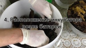 Правила восковой моли. ПЖЛВМ