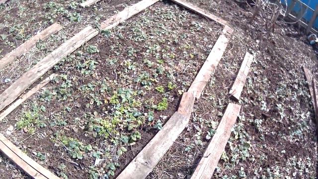 поездка на дачу и вкусный ужин смотреть онлайн