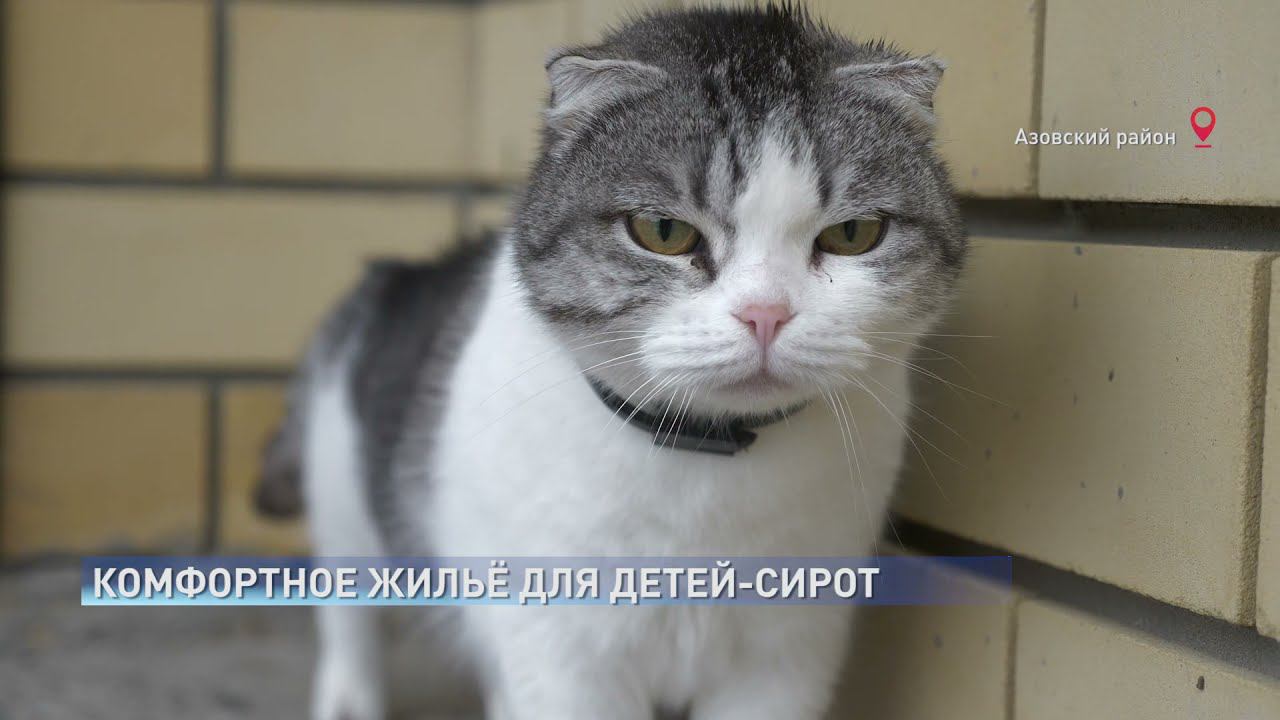 Инспектирование ремонтных работ в домах для детей сирот в селе Головатовка Азовского района