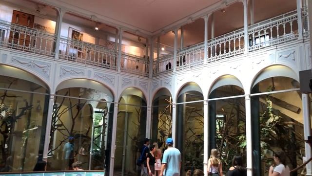 Tiergarten Schönbrunn - Schönbrunn Zoo I Wien - Austria (4K) смотреть онлайн