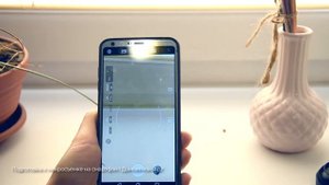 Линза для макросъемки на телефон. Обзор, настройка камеры, примеры применения