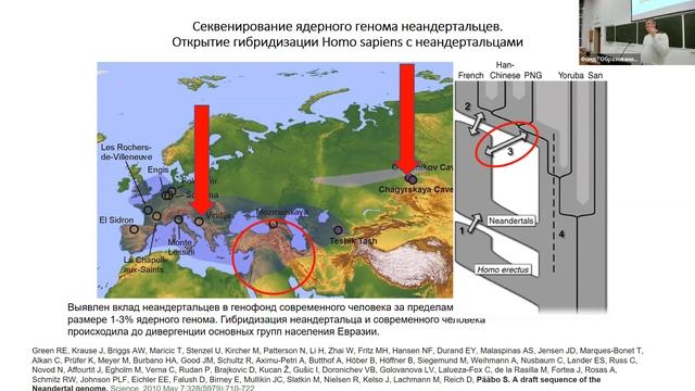 2 ноября - О Нобелевской премии за исследование эволюции человека методами палеогенетики