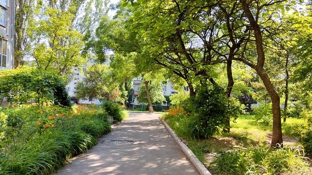 Город Днепрорудный. Прогулка 19.06.2023. смотреть онлайн