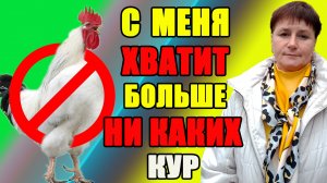 С меня хватит, больше никаких кур.