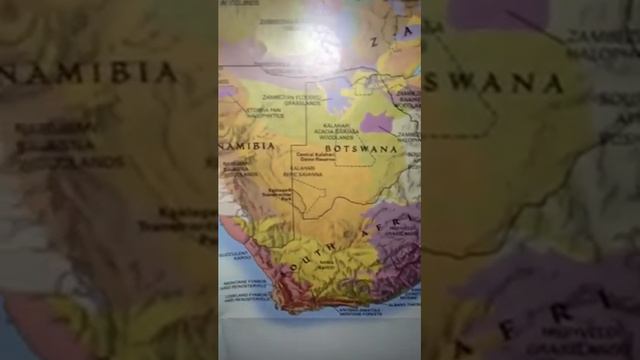 My cultivated Geranium Tea from 2nd growth clippings смотреть онлайн