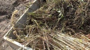 Устройство поднятой теплой грядки из растительных остатков. Подробно. Пошаговое видео.