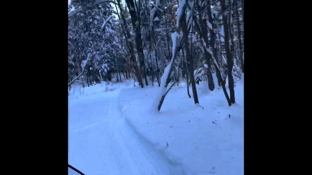 Yamaha venture 2021 super powerful смотреть онлайн