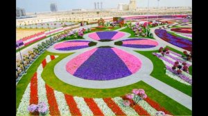 ДУБАЙ. ПАРК ЦВЕТОВ\ DUBAI MIRACLE GARDEN.