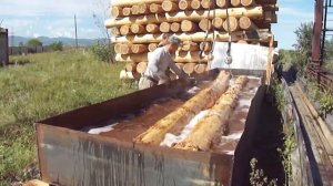 Обработка бревна кедра антисептиком