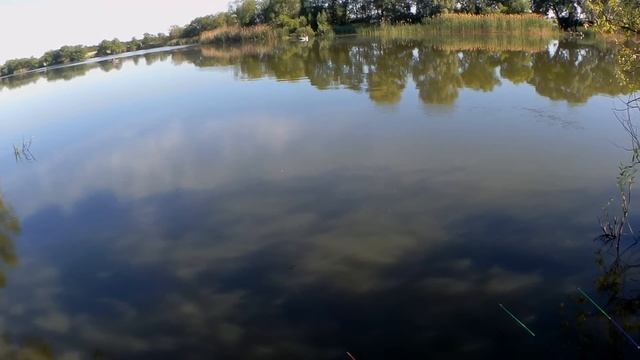 Карп на пенопласт