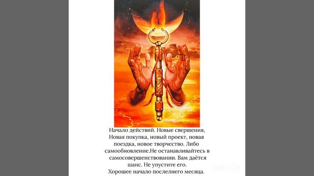 Таро. Карта дня 1.12.2023