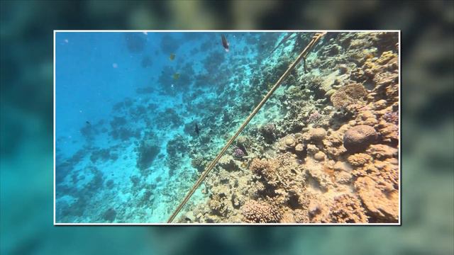 Arabia Azur Resort, Arabia Azur Beach, Hurghada, Egypt, Hausriff