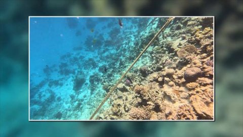 Arabia Azur Resort, Arabia Azur Beach, Hurghada, Egypt, Hausriff