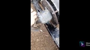 Настройка магнито на мотороллере Муравей