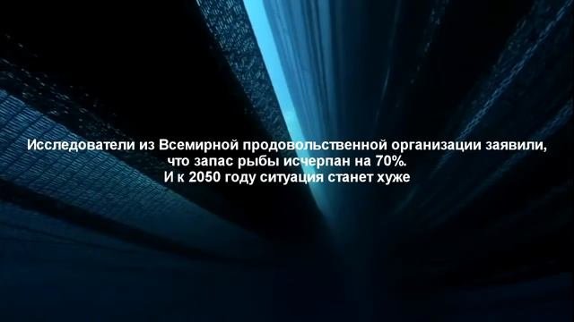 Экология Земли