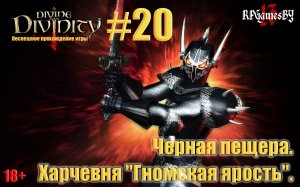 ПРОХОЖДЕНИЕ игры Divine Divinity #20 Черная пещера. Харчевня "Гномская ярость".