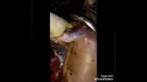 Сочное вкусное блюдо из баранины !!! Как готовить баранину по старинному рецепту...