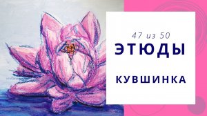 47. Как нарисовать кувшинку гуашью и масляной пастелью. Серия видео «50 этюдов»