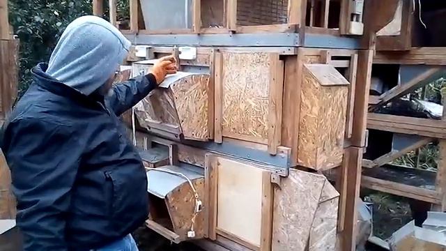 Племенные кролики смотреть онлайн