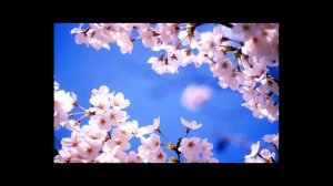 Моя милая мама