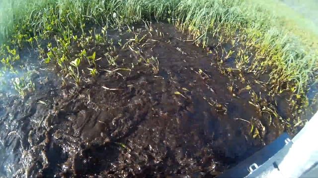 Хома 11 болото смотреть онлайн