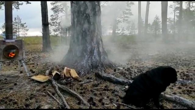 ПОД ПРИСМОТРОМ МЕДВЕДЯ |съездили на рыбалку   Жесть #вальданна #медведь #клюква #вездеходросомаха