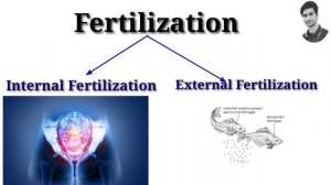 Reproduction | Reproduction in animals | NCERT Quick Revision | NEET/UPSC Preparing...