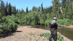 8 Серия Жизнь ОТШЕЛЬНИКОВ в ДЕВСТВЕННОЙ ТАЙГЕ 2024 Рыбалка Поход Медведь Один в Лесу Сухо6июл14 ЛЕС