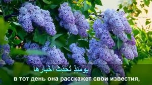 Гарданов Абдул-Рашид