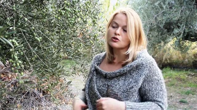 4. Шесть факторов повышающих кислотность оливкового масла | 16+ смотреть онлайн