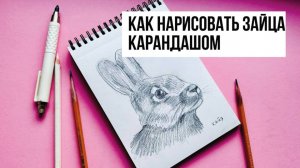 КАК НАРИСОВАТЬ ЗАЙЦА ПРОСТЫМ КАРАНДАШОМ. Рисунок для начинающих