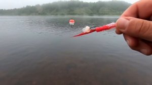 ГОРБУША 2021/Рыбалка на Кольском Полуострове/Часть1
