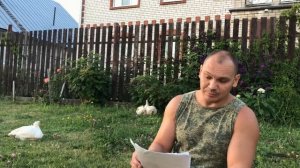 Почему бройлеры не растут? Какой комбикорм для бройлеров лучше. Эксперимент. Часть 3.