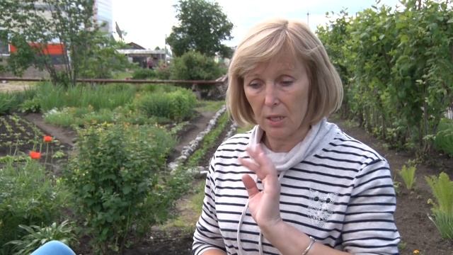 Педагоги приступили к благоустройству территории у школы смотреть онлайн