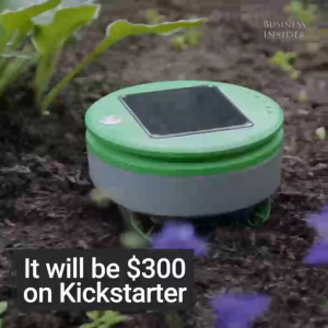 Робот-пылесос для вашего сада 