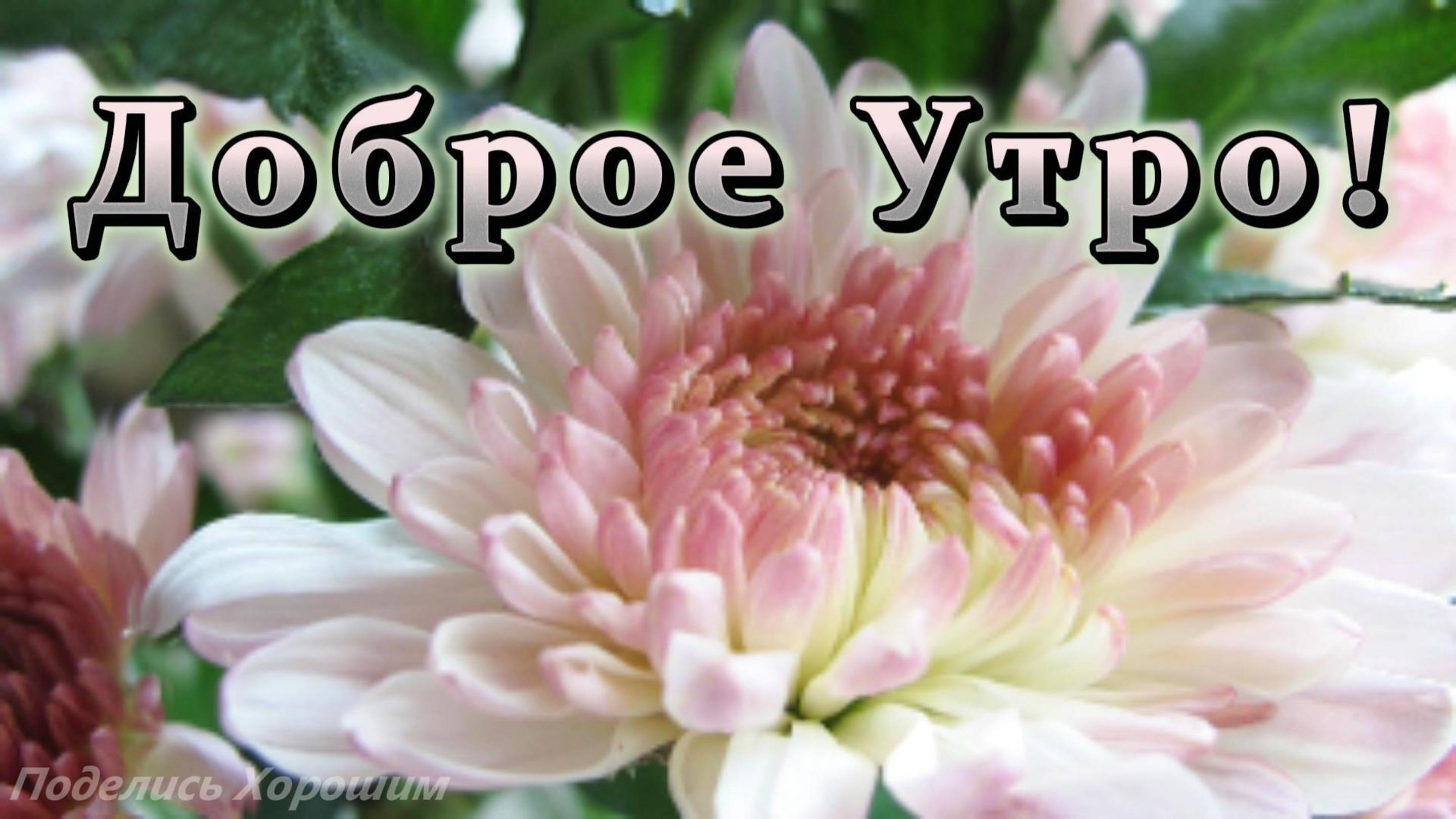Доброе утро! Музыкальная открытка