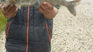 Рыбалка Кош-агач, Монголия, Хариус, Таймень мои друзья из монголии