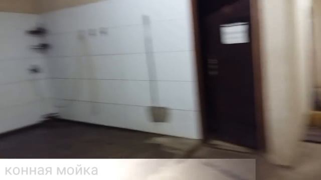 134. ДЕНЬ РОЖДЕНИЯ моей АРГЕНТИНЫ) 22 .02) смотреть онлайн