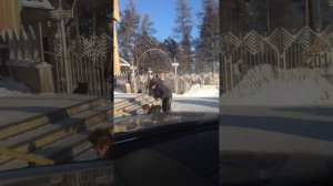 Жестокое падение Алканафтов Нерюнгри!!! Нерюнгрибанк