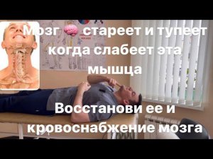 Мозг стареет и тупеет, когда слабеет эта мышца шеи. Восстанови ее и свежая кровь хлынет в твой мозг