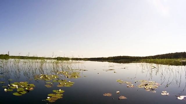 #16 Озеро Гагарино | Лоухи - Энгозеро 2017 | Приключения на байдарке смотреть онлайн