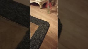 как правильно сделать акустическую полку своими руками на автомобиль НИВА