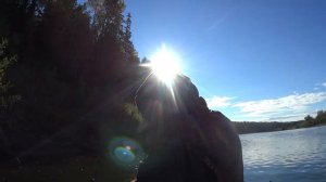 ЖОР ЩУКИ  в сентябре. Рыбалка на щуку на воблеры. Твичинг щуки вдоль берега